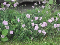 07273eeb-Picture 142.jpg